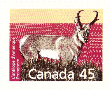 A postage stamp