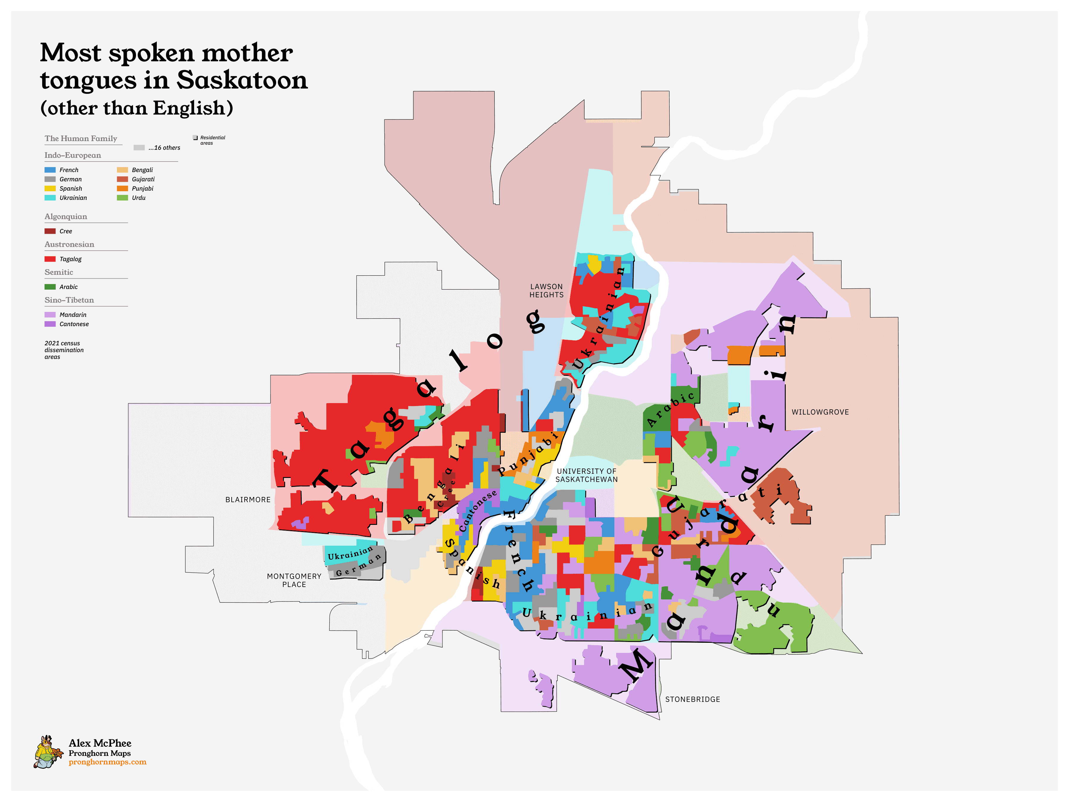 A colourful map of Saskatoon's most widespread languages. Accurate to the 2021 census.