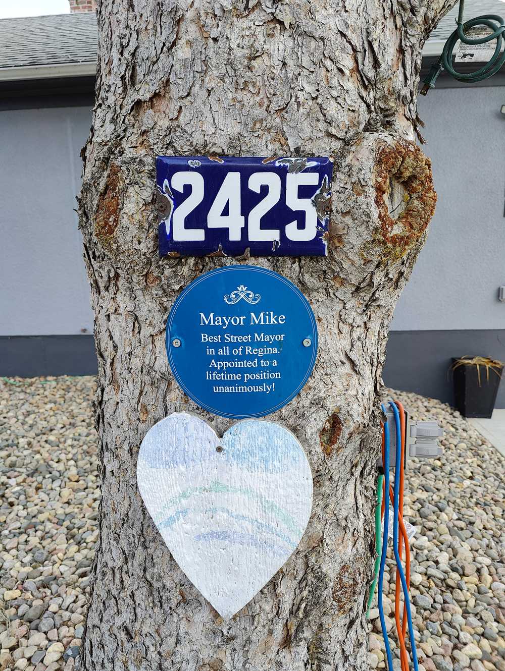 A number plate affixed to a tree, next to a sign celebrating "Mayor Mike".