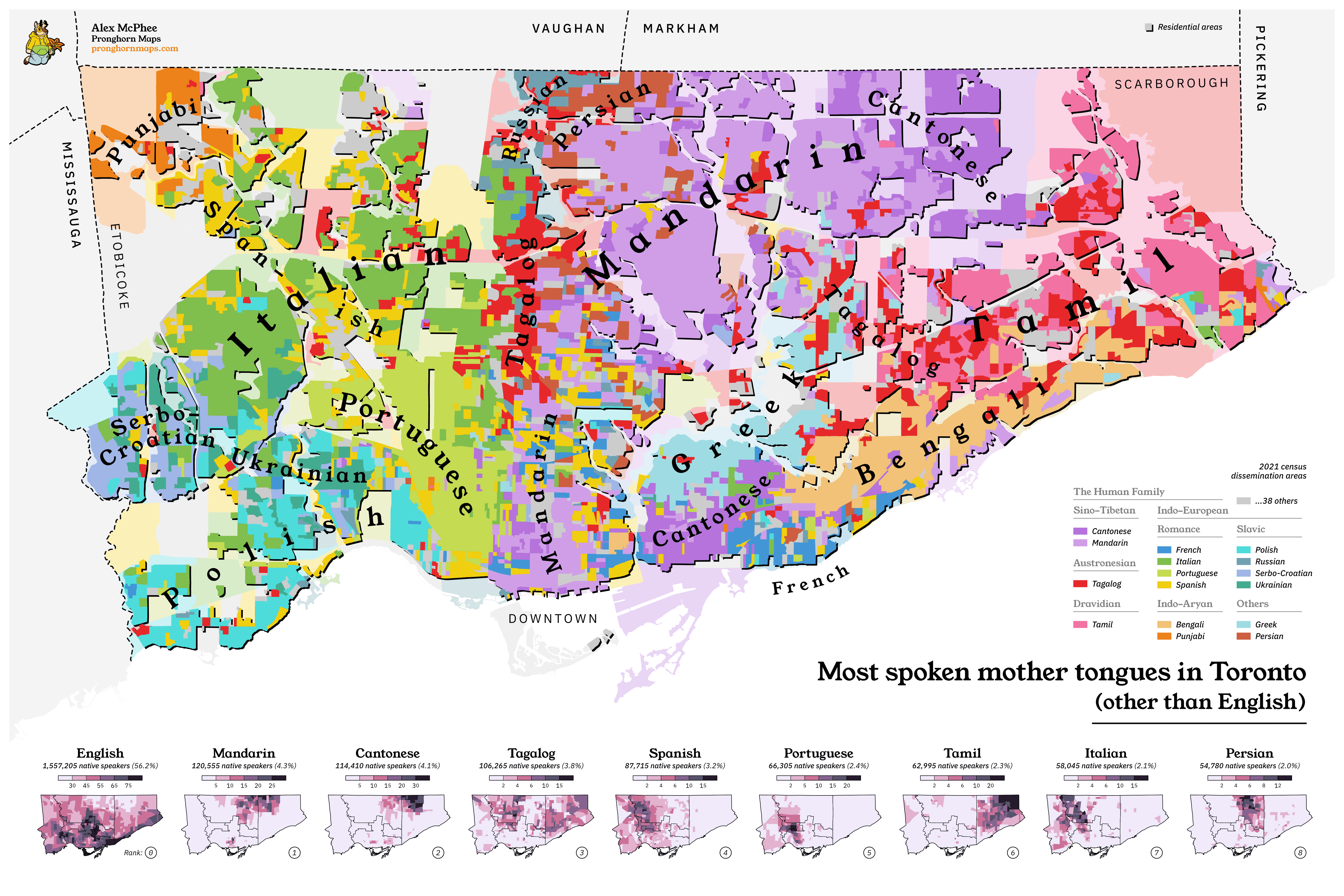 A colourful map of Toronto's most widespread languages. Accurate to the 2021 census.